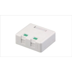 Empty Surface Mount Box Dual Port RJ45