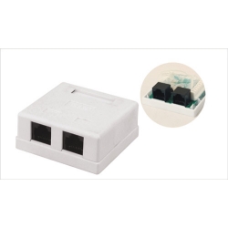 Surface Mount Box with Jacks Dual Port RJ45