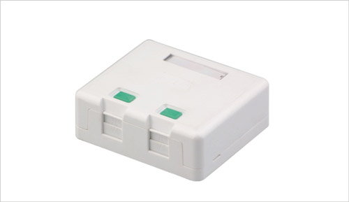 Empty Surface Mount Box Dual Port RJ45