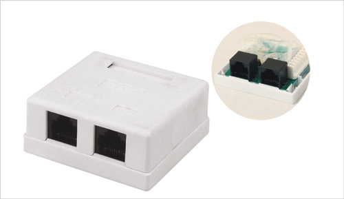 Surface Mount Box with Jacks Dual Port RJ45