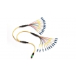 MPO Fan out Fiber Optic Patch Cord 4 cores , 8 cores , 12 cores Singlemode